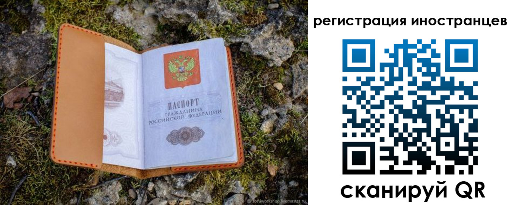 прописка паспорт в Губкине